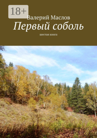. Первый соболь. Шестая книга