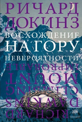 . Восхождение на гору Невероятности