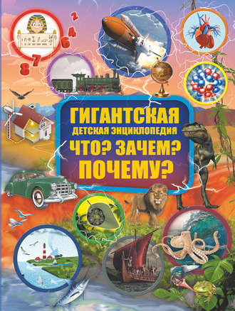 Д. В. Кошевар. Что? Зачем? Почему?