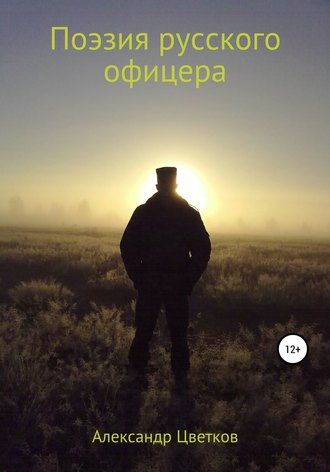 . Поэзия русского офицера