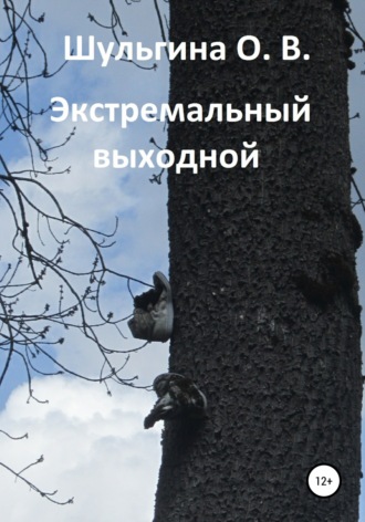 . Экстремальный выходной