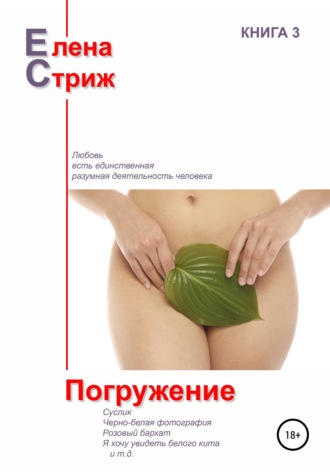 Елена Стриж. Погружение