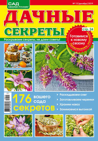 . Сад своими руками. Дачные секреты №12/2019