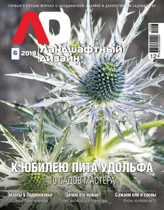 . Ландшафтный дизайн №06/2019