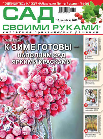 . Сад своими руками №12/2019