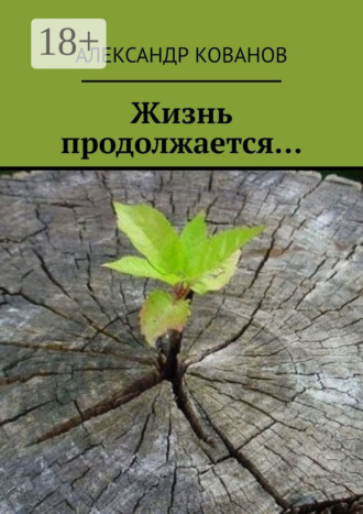 . Жизнь продолжается…