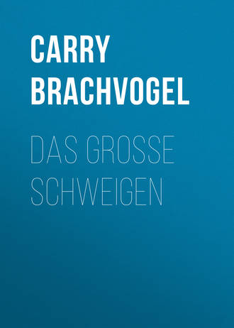 Carry Brachvogel. Das große Schweigen