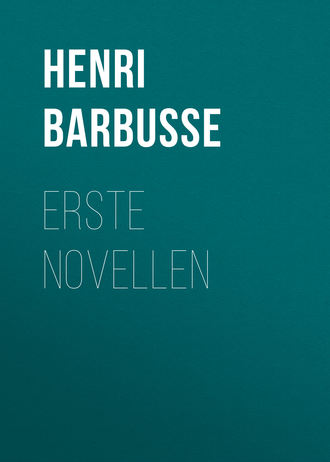. Erste Novellen