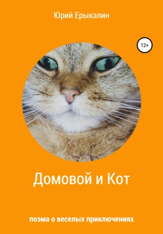 . Домовой и Кот