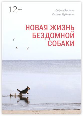 . Новая жизнь бездомной собаки