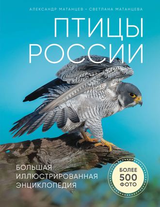 Александр Матанцев. Птицы России. Большая иллюстрированная энциклопедия
