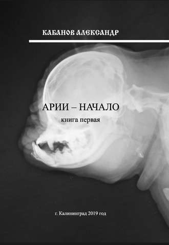 . Арии – начало. Книга 1