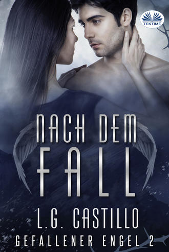 . Nach Dem Fall (Gefallener Engel #2)
