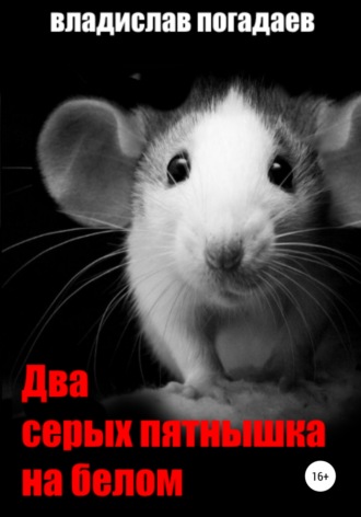 . Два серых пятнышка на белом