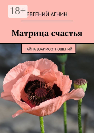 . Матрица счастья. Тайна взаимоотношений
