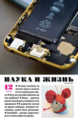 . Наука и жизнь №12/2019