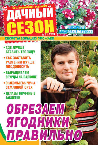 . Дачный сезон №11/2019