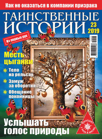 . Таинственные истории №23/2019