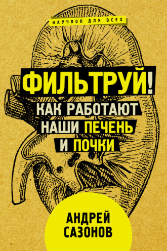 . Фильтруй! Как работают наши печень и почки
