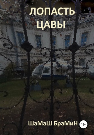. Лопасть цавы