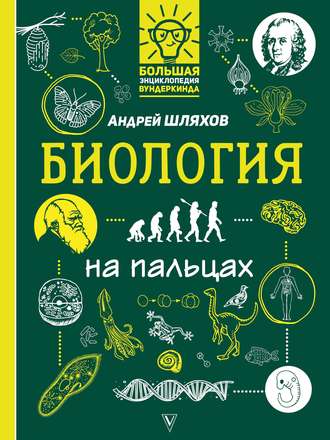 . Биология на пальцах в иллюстрациях