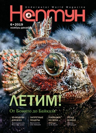 . Нептун №6/2019