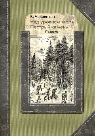 Владимир Чивилихин. Над уровнем моря. Пестрый камень