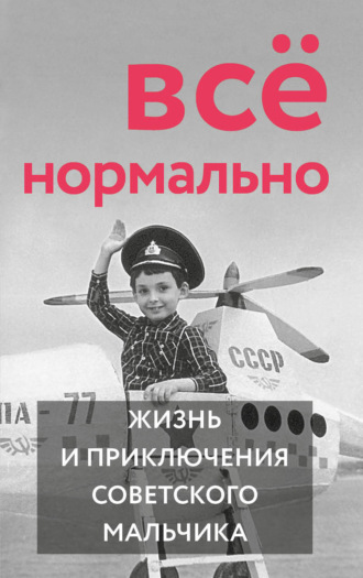 Сергей Гречишкин. Всё нормально