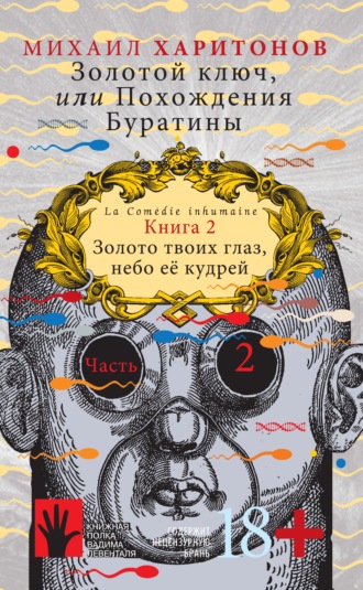 . Золотой ключ, или Похождения Буратины. Книга 2. Золото твоих глаз, небо ее кудрей. Часть 2