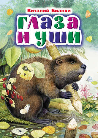 . Глаза и уши