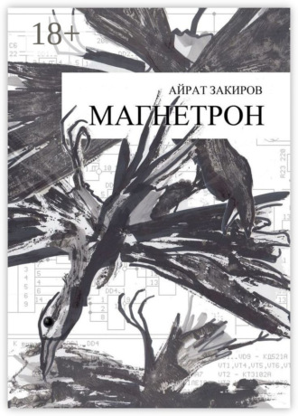 Айрат Закиров. Магнетрон
