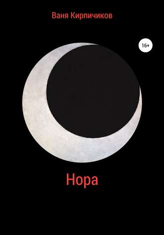 Ваня Кирпичиков. Нора