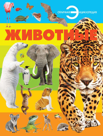 . Животные