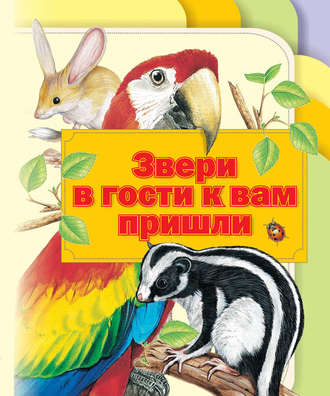 . Звери в гости к вам пришли