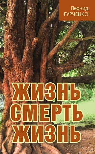 . Жизнь – смерть – жизнь