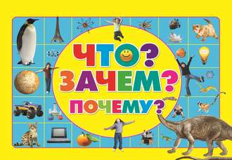 . Что? Зачем? Почему?