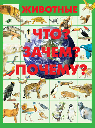 . Животные. Что? Зачем? Почему?