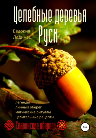 . Целебные деревья Руси
