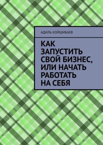 Адиль Койшибаев. Как запустить свой бизнес, или Начать работать на себя