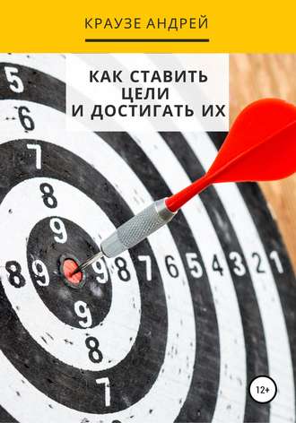 Андрей Викторович Краузе. Как ставить цели и достигать их
