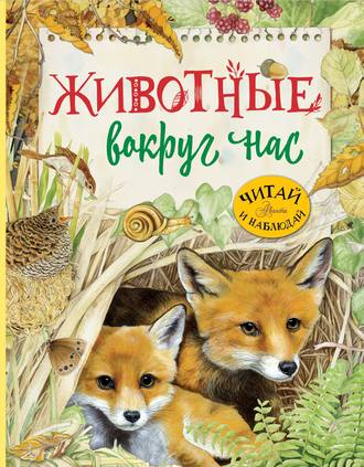 . Животные вокруг нас