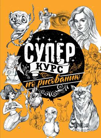 Мистер Грей. Суперкурс по рисованию