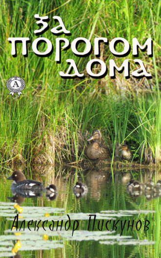 . За порогом дома