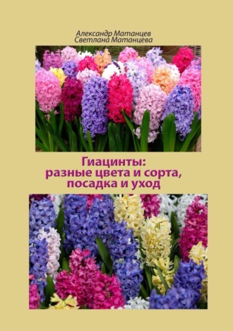 . Гиацинты: разные цвета и сорта, посадка и уход