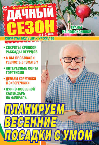 . Дачный сезон №01-02/2020