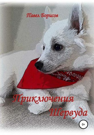 Павел Владимирович Борисов. Приключения Шервуда