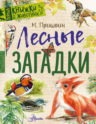 . Лесные загадки