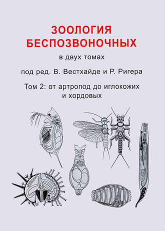 Коллектив авторов. Зоология беспозвоночных. Том 2. От артропод до иглокожих и хордовых