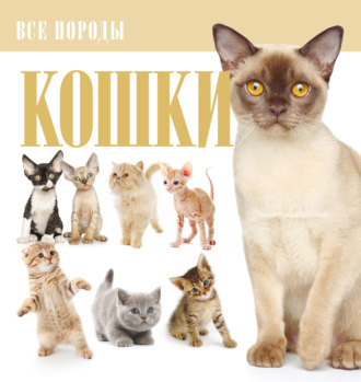 . Кошки