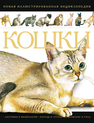 . Кошки. Новая иллюстрированная энциклопедия